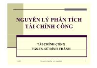 Nguyên lý phân tích tài chính công