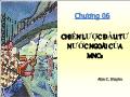 Quĩ đầu tư - Chương 06: Chiến lược đầu tư nước ngoài của MNCS
