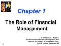 Tài chính doanh nghiệp - Chapter 1: The role of financial management