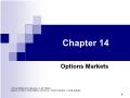 Tài chính doanh nghiệp - Chapter 14: Options markets