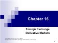 Tài chính doanh nghiệp - Chapter 16: Foreign exchange derivative markets