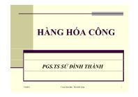 Tài chính doanh nghiệp - Hàng hóa công