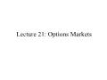 Tài chính doanh nghiệp - Lecture 21: Options markets