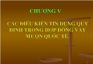 Tài chính ngân hàng - Các điều kiện tín dụng quy định trong hợp đồng vay mượn quốc tế