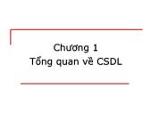 Giáo trình cơ sở dữ liệu - Chương 1: Tổng quan về CSDL - ĐH Khoa học tự nhiên HCM