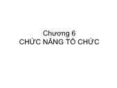 Bài giảng Quản trị học - Chương 6: Chức năng tổ chức - Đoàn Gia Dũng