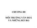 Bài giảng Quản trị rủi ro - Chương 3: Môi trường văn hóa và những rủi ro - Võ Hữu Khánh