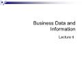 Business Data and Information - Lecture 6