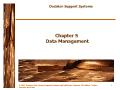 Decision Support Systems - Chapter 5: Data Management