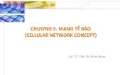 Giáo trình Mạng không dây - Chương 5: Mạng tế bào - Trần Thị Minh Khoa