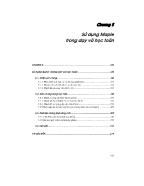 Giáo trình Maple - Lập trình tính toán - Chương 5: Sử dụng Maple trong dạy và học toán