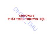 Giáo trình Quản trị thương hiệu - Chương 6: Phát triển thương hiệu