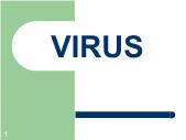 Giáo trình Tin đại cương - Chương 6: Virus - Trần Tiến Dũng