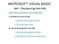 Microsoft Visual Basic - Bài 1: Tổng quan lập trình CSDL