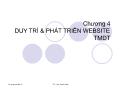 Thương mại điện tử - Chương 4:  Duy trì & phát triển website tmđt