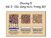 Giáo trình Khoa học đất - Chương 5, Bài 2: Các dạng nước trong đất