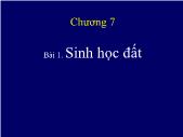 Giáo trình Khoa học đất - Chương 7, Bài 1: Sinh học đất