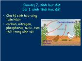 Giáo trình Khoa học đất - Chương 7, Bài 1: Sinh thái học đất