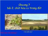 Giáo trình Khoa học đất - Chương 7, Bài 2: Chất hữu cơ trong đất