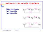 Bài giảng Hóa vô cơ - Chương 13: Các nguyên tố nhóm Ib - Nguyễn Văn Hòa