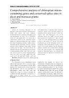 Comprehensive analysis of chloroplast introncontaining genes and conserved splice sites in dicot and monocot plants - Nguyen Dinh Sy