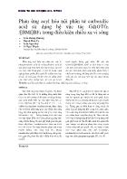 Phản ứng acyl hóa nội phân tử carboxilic acid sử dụng hệ xúc tác Gd(OTf)3 /[BMI]BF4 trong điều kiện chiếu xạ vi sóng - Trần Hoàng Phương