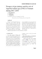Prospect of gas industry and the role of liquefied natural gas (LNG) in Vietnam during 2011–2035 - Dang Dinh Thang