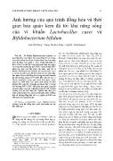 Ảnh hưởng của quá trình đồng hóa và thời gian bảo quản kem đá tới khả năng sống của vi khuẩn Lactobacillus casei và Bifidobacterium bifidum