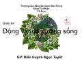 Bài giảng Động vật có xương - Ngành dây sống - Điền Huỳnh Ngọc Tuyết