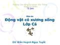 Bài giảng Động vật có xương sống - Lớp Cá - Điền Huỳnh Ngọc Tuyết