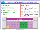 Bài giảng Hóa vô cơ A - Chương X: Các nguyên tố phân nhóm VIIIB - Nguyễn Văn Hòa