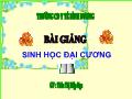 Bài giảng Sinh học Đại cương - Chương 3: Sự phát triển giao tử ở người - Thân Thị Diệp Nga