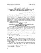 Điều tra thành phần loài và xây dựng bộ mẫu lưỡng cư (Amphibia), bò sát (Reptilia) ở núi nhỏ thành phố Vũng Tàu