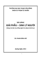 Giáo trình Giải phẫu - Sinh lý người - Phan Đình Hải