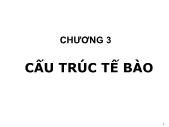 Giáo trình Sinh học đại cương - Phần 1: Sinh học tế bào - Chương 3: Cấu trúc tế bào - Võ Thanh Phúc