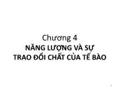 Giáo trình Sinh học đại cương - Phần 1: Sinh học tế bào - Chương 4: Năng lượng và sự trao đổi chất của tế bào - Võ Thanh Phúc