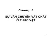 Giáo trình Sinh học đại cương - Phần 3: Thực vật - Chương 10: Sự vận chuyển vật chất ở thực vật - Võ Thanh Phúc