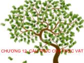 Giáo trình Sinh học đại cương - Phần 3: Thực vật - Chương 12: Cấu trúc của thực vật - Võ Thanh Phúc