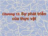 Giáo trình Sinh học đại cương - Phần 3: Thực vật - Chương 13: Sự phát triển của thực vật - Võ Thanh Phúc