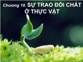 Giáo trình Sinh học đại cương - Phần 3: Thực vật - Chương 18: Sự trao đổi chất ở thực vật - Võ Thanh Phúc