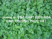 Giáo trình Sinh học đại cương - Phần 3: Thực vật - Chương 19: Các chất điều hòa sinh trưởng thực vật - Võ Thanh Phúc