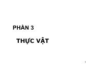 Giáo trình Sinh học đại cương - Phần 3: Thực vật - Chương 8: Cấu trúc của thực vật - Võ Thanh Phúc