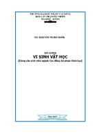 Giáo trình Vi sinh vật học - Nguyễn Trung Nhân