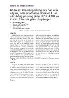 Khảo sát khả năng kháng oxy hóa của cây rau sam (Portulaca oleracea L.) in vitro bằng phương pháp HPLC-ESR và in vivo trên ruồi giấm chuyển gen