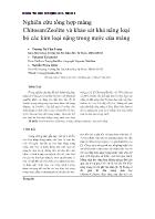 Nghiên cứu tổng hợp màng Chitosan/Zeolite và khảo sát khả năng loại bỏ các kim loại nặng trong nước của màng