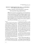 Nhân dòng và phân tích yếu tố tác động Cis của promoter E8 từ cà chua (Lycopersicon esculentum L.) - La Việt Hồng
