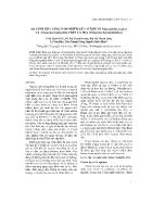 So sánh khả năng xâm nhiễm của vi khuẩn Edwardsiella ictaluri và Aeromonas hydrophila trên cá tra (Pangasius hypophthalmus) - Trần Hạnh Triết