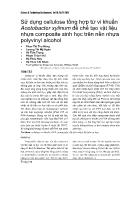 Sử dụng cellulose tổng hợp từ vi khuẩn Acetobacter xylinum để chế tạo vật liệu nhựa composite sinh học trên nền nhựa polyvinyl alcohol