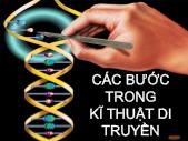 Tiểu luận Các bước trong ký thuật di truyền - Võ Thị Kim Trâm