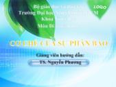 Tiểu luận Cơ chế của sự phân bào - Nguyễn Chí Tường